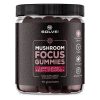 Gummibärchen Mushroom Focus Solve Labs 240 g – Igelstachelbart, L-Theanin, Vitamin B12