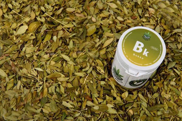 BUKKO für Aromatherapie getrocknete Kräuter Harnwege Gesundheit - Kräuter