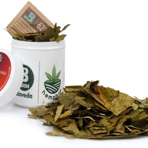 GINGKO BILOBA Blatt für Aromatherapie getrocknete Kräuter Gedächtnis Konzentration Migräne - Kräuter