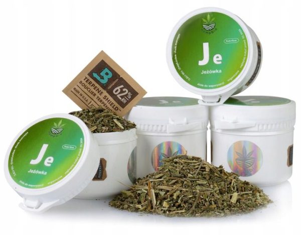 Eibenbeere getrocknet für Aromatherapie Kräuter Immunität - Herbs