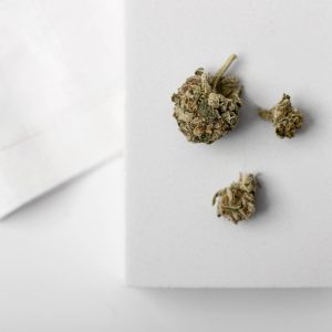 Legality of Hemp and CBD in Poland and the EU – Current Guide 2025 - Legality and Regulations