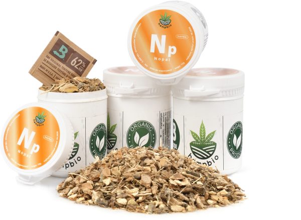 NOPAL für Aromatherapie getrocknete Kräuter Verdauung Entspannung Stress - Kräuter