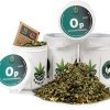 OSTROPEST PLAMISTY do aromaterapii susz zioła trawienie detoks wątroba Ostropest plamisty nasiona: kolekcjonerski susz roślinny, ujęcie z bliska