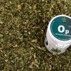 OSTROPEST PLAMISTY do aromaterapii susz zioła trawienie detoks wątroba Ostropest Silybum marianum: susz do aromaterapii ziołowej, paczka z regulatorem wilgotności