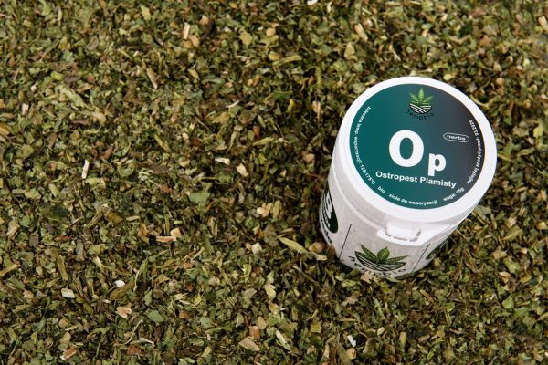 OSTROPEST PLAMISTY do aromaterapii susz zioła trawienie detoks wątroba Ostropest Silybum marianum: susz do aromaterapii ziołowej, paczka z regulatorem wilgotności