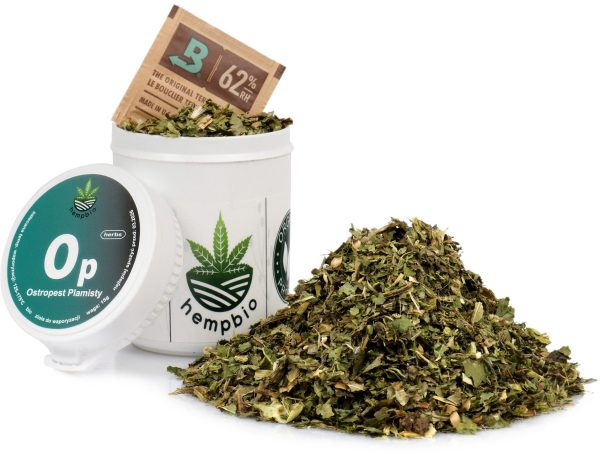 OSTROPEST PLAMISTY do aromaterapii susz zioła trawienie detoks wątroba Ostropest plamisty susz: Silybum marianum, owoce w hermetycznym opakowaniu