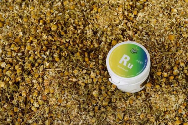 Rumianek koszyczki kwiatowe – kolekcjonerski susz roślinny, ujęcie z bliska