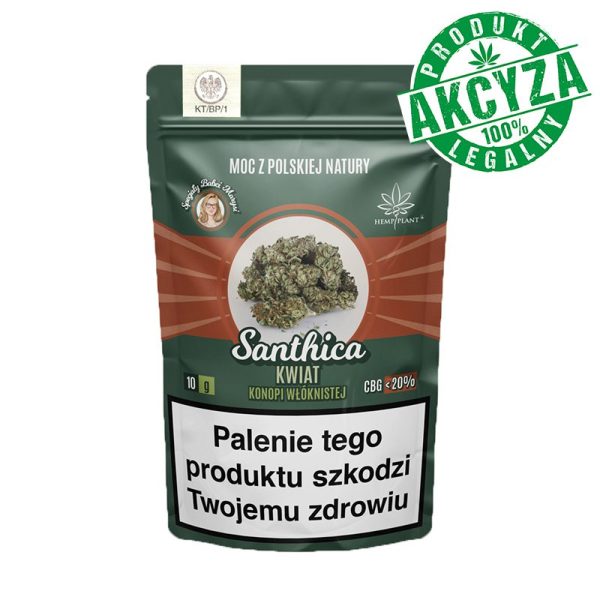 Specjały Babci Marysi Susz Konopny Santhica CBG 10G: suszone kwiatostany wyjęte z opakowania Specjały Babci Marysi Susz Konopny Santhica CBG 10G: suszone kwiatostany wyjęte z opakowania