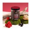 Mushroom Focus Gummies Solve Labs – Etikette der Verpackung 240 g mit Dosierung