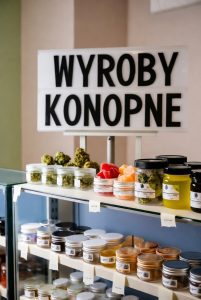 Dostępne odmiany Medycznej Marihuany – Jak wybrać odpowiednią? [Październik 2025] - Odmiany konopi