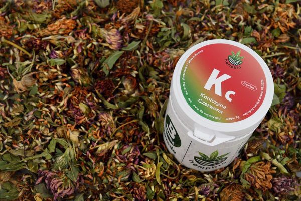 KONICZYNA CZERWONA do aromaterapii zioła izoflawony relaks uderzenia gorąca Koniczyna czerwona susz aromaterapia: Trifolium pratense, kwiaty w hermetycznym opakowaniu