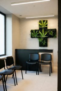 Wie wird man ein medizinischer Marihuana-Patient in Polen? Leitfaden 2025 - Medizinisches Cannabis