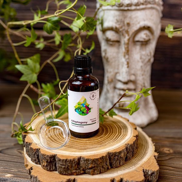 Adaptogeny, 100% naturalne ekstrakty roślinne, płyn 50 ml - Inne
