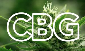 Co to jest CBG? - CBG