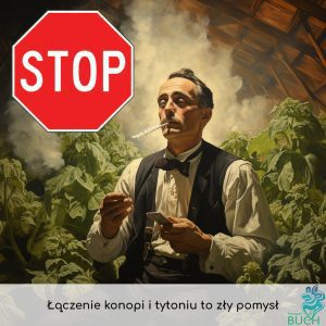 Die Kombination von Cannabis und Tabak ist keine gute Idee - zusätzlich zu den negativen Auswirkungen auf die Lunge kann sie das Angstniveau erhöhen und die Symptome von Depressionen verschlimmern - Sicherheit