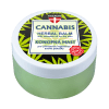 PALACIO Herbal Hemp Ointment 100ml - Ointments