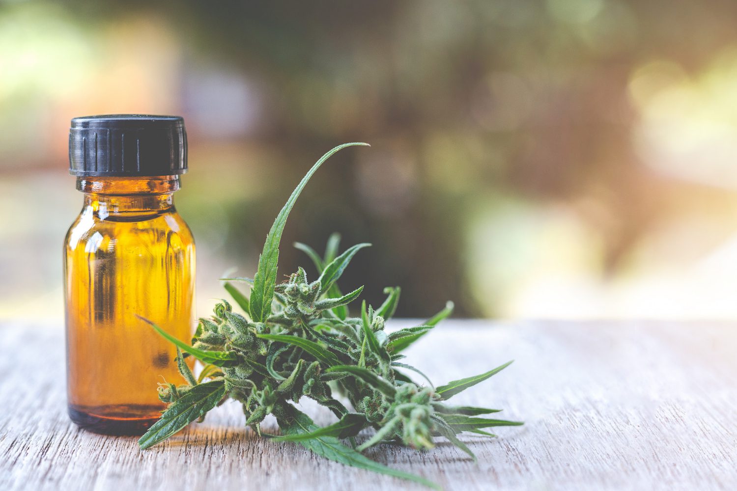 Wo kann man 2026 am besten CBD-Öl kaufen? Ein umfassender Leitfaden zu Vertriebskanälen Wo kann man 2026 Cannabidiol-Öl kaufen? Ein vollständiger Leitfaden zu Vertriebskanälen – Cannabinoide und Substanzen