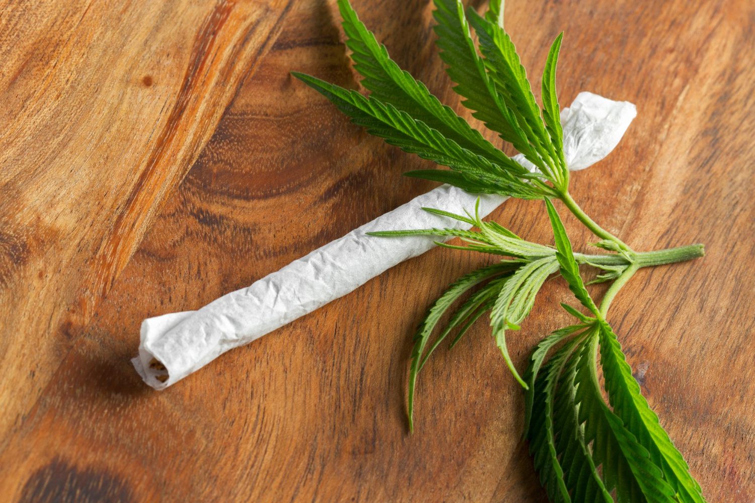 The Best Rolling Papers of 2026: A Complete Guide to RAW, OCB, Elements, and Hempire The Best Rolling Papers of 2026: A Complete Guide to RAW, OCB, Elements, and Hempire - Smoking