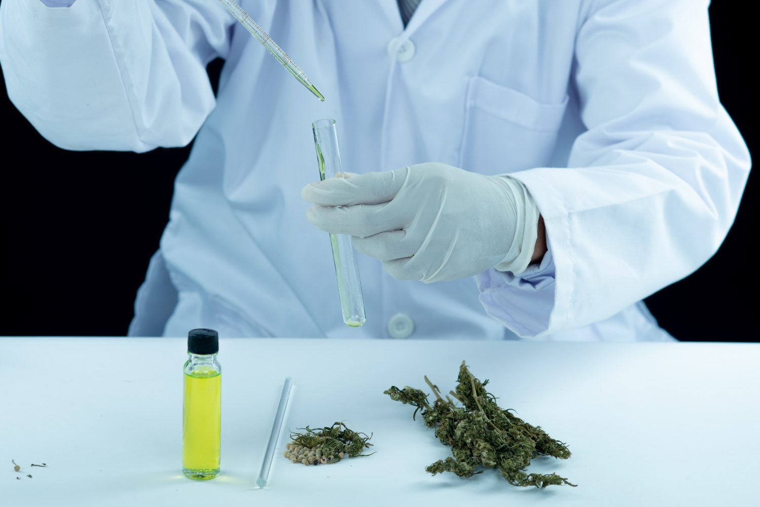 Mikrodozowanie Konopi: Protokoły i Korzyści Terapeutyczne 2026 Mikrodozowanie Konopi: Protokoły i Korzyści Terapeutyczne 2026 - Porównania kannabinoidów