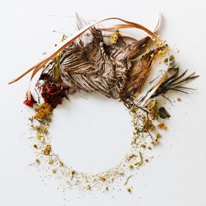 Can CBD Be Combined with Ashwagandha? A Comprehensive Guide to Benefits, Uses, and Safety - Adaptogens