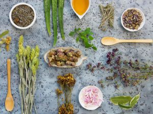 Adaptogens for Beginners: What are Ashwagandha and Rhodiola? – An introduction to adaptogens and their benefits for stress and energy. - Adaptogens