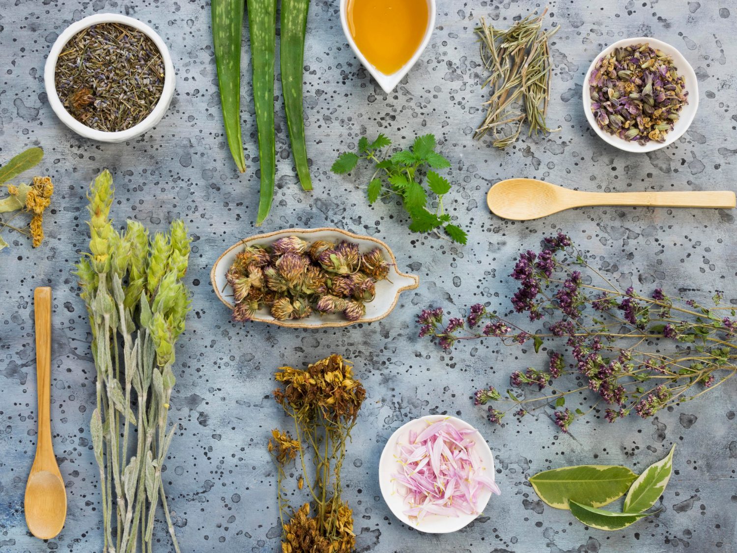 Adaptogeny dla początkujących: Ashwagandha i Rhodiola, kompletny przewodnik 2026 Adaptogeny dla początkujących: Ashwagandha i Rhodiola, kompletny przewodnik 2026 - Adaptogeny
