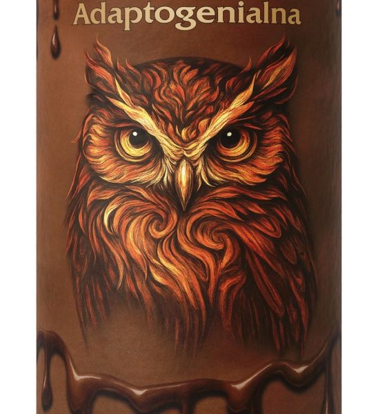 Adaptogenialna Czekolada 100g - Susz