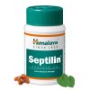 cc88c4a93358d9d578f0301e1c0901d0.jpg Himalaya Septilin 60 tabletek — receptura ajurwedyjska z guggulem, lukrecją i Tinospora cordifolia