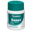f6d977c6d89a87e7d5ee94a7144f1e54.jpg Himalaya Gasex 100 tabletek — receptura ajurwedyjska z imbirem i Triphalą