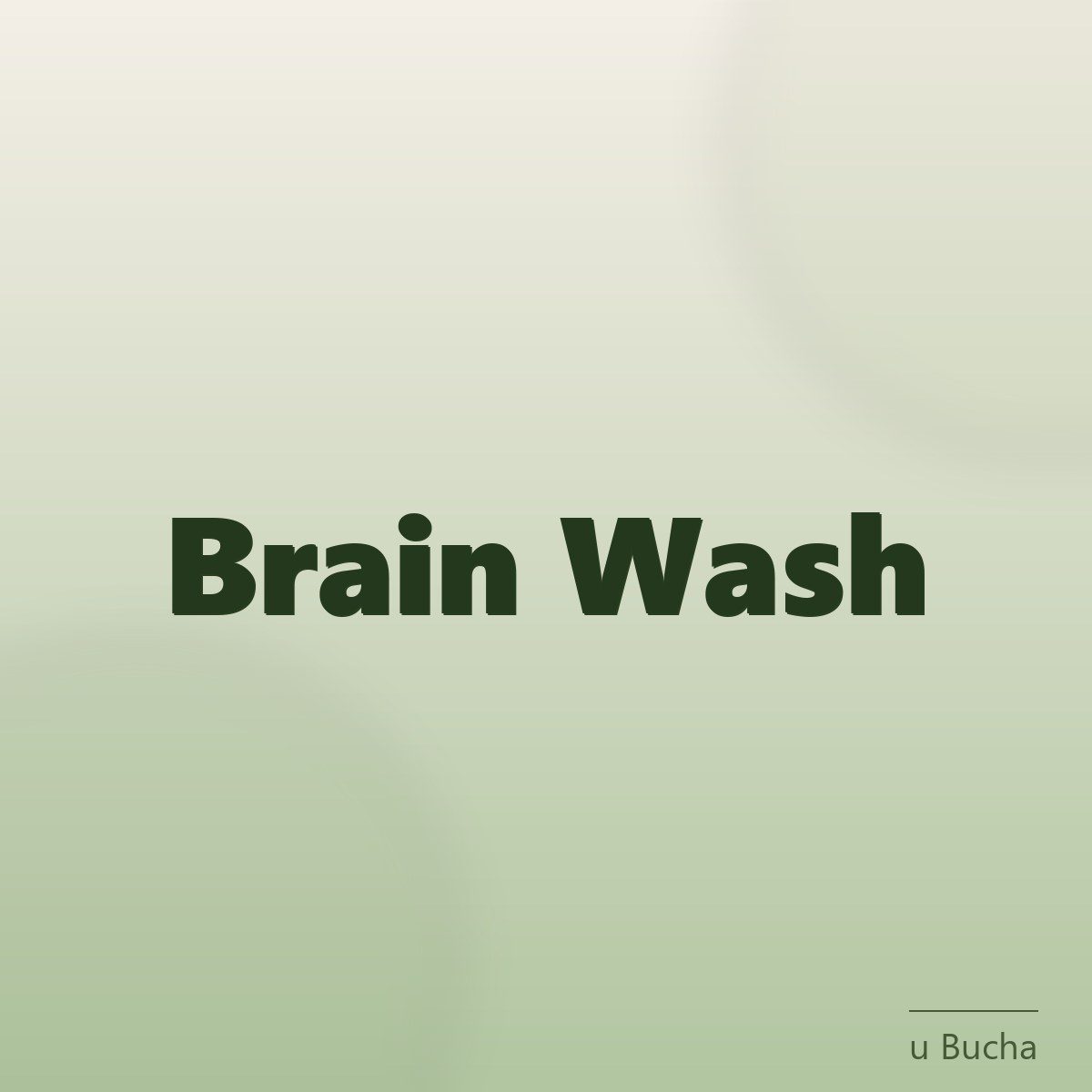Brands at u Bucha Dr Joint: logo producenta marki Brain Wash