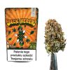 Cannabis Spot susz konopny Jack Herer 5G Susz konopny Jack Herer Cannabis Spot 5 g — kolekcjonerski susz w opakowaniu