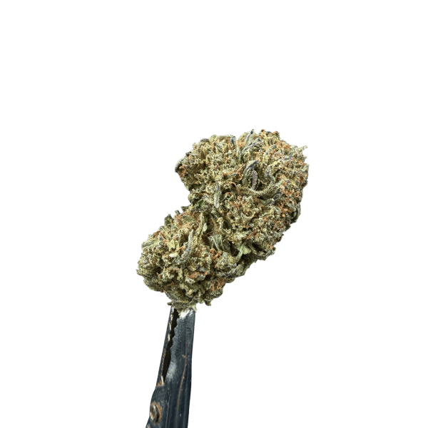 Susz CBD Gorilla Glue 5 g Cannabis Spot — kwiaty konopne dla kolekcjonerów