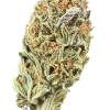 Cannabis Spot Susz konopny Strawberry Haze 5G Susz Strawberry Haze 5 g — ręcznie trymowane kwiatostany konopne z trichomami