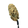 Cannabis Spot susz konopny Lemon Haze 5G Susz Lemon Haze 5 g — ujęcie kwiatostanów konopnych o wyraźnej nucie limonenu