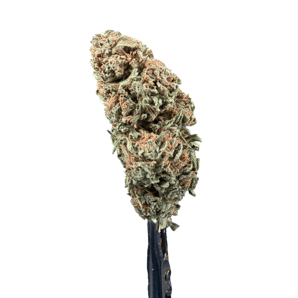 Cannabis Spot Susz Therapy z kannabigerolami 5G Susz konopny Therapy — kwiat z bliska, srebrzyste oszronienie od trichomów