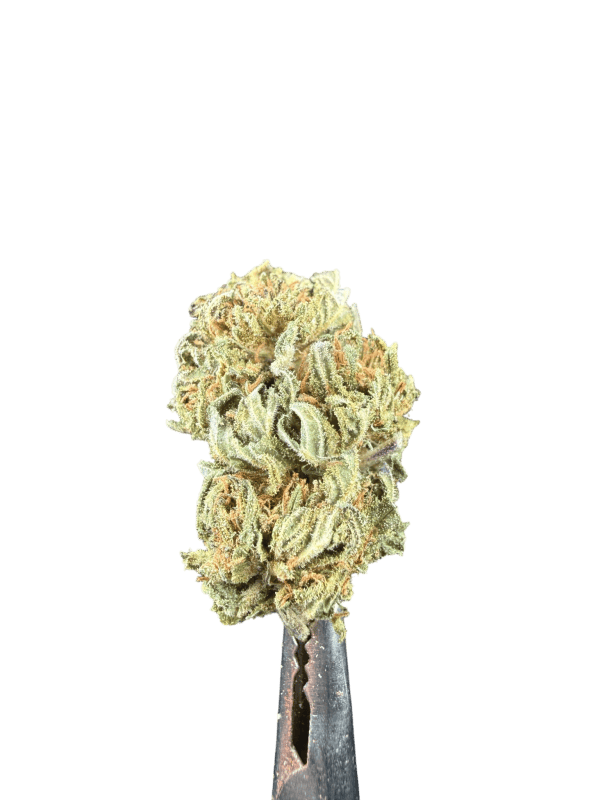 Cannabis Spot Susz konopny Strawberry Haze 5G Strawberry Haze Cannabis Spot — susz konopny 5 g o słodko-truskawkowym profilu