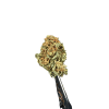 Cannabis Spot susz konopny Lemon Haze 5G Susz Lemon Haze — kwiat konopny, detal trichomów i pomarańczowych włosków