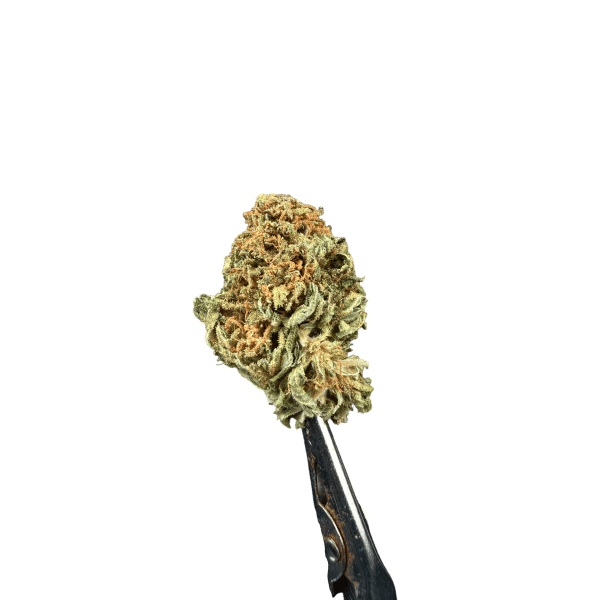 Cannabis Spot susz konopny Lemon Haze 5G Susz Lemon Haze — kwiat konopny, detal trichomów i pomarańczowych włosków
