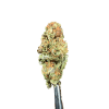 Cannabis Spot Hanfblüten Amnesia Haze 5G Amnesia Haze-Kraut – längliche, hellgrüne Cannabisblüten, die reich mit Trichomen bedeckt sind
