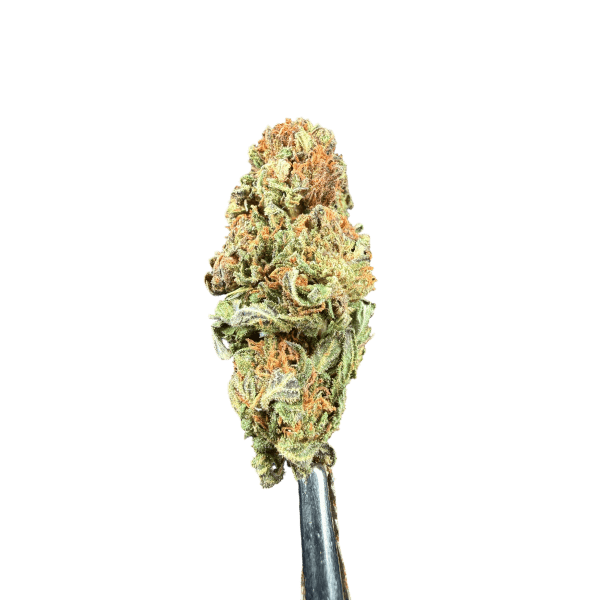 Cannabis Spot Hanfblüten Amnesia Haze 5G Amnesia Haze-Kraut – längliche, hellgrüne Cannabisblüten, die reich mit Trichomen bedeckt sind