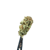 Cannabis Spot susz konopny Lemon Haze 5G Lemon Haze Cannabis Spot — susz konopny 5 g, ujęcie opakowania doypack