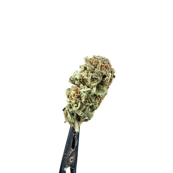Cannabis Spot susz konopny Lemon Haze 5G Lemon Haze Cannabis Spot — susz konopny 5 g, ujęcie opakowania doypack