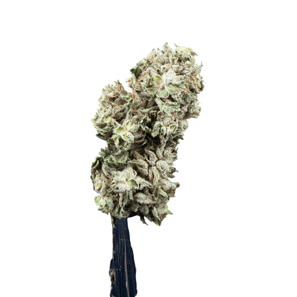 Cannabis Spot Susz Therapy z kannabigerolami 5G Susz konopny Therapy 5 g Cannabis Spot — susz dla kolekcjonerów