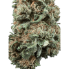Cannabis Spot Susz Therapy z kannabigerolami 5G Susz konopny Therapy — detal delikatnych włosków i żywicy na topce