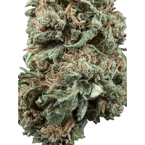Cannabis Spot Susz Therapy z kannabigerolami 5G Susz konopny Therapy — detal delikatnych włosków i żywicy na topce