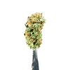 Cannabis Spot Hanfblüten Amnesia Haze 5G Amnesia Haze 5 g — eine Auswahl von Hanfblüten mit einem erdigen-würzigen Terpenprofil