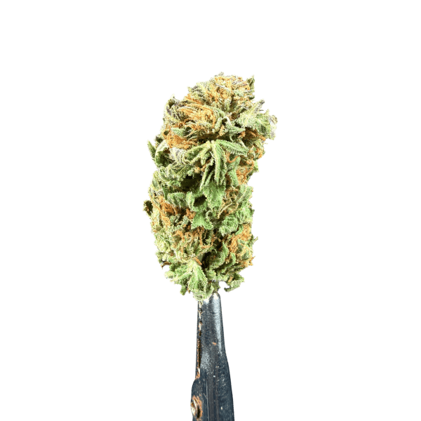 Cannabis Spot Hanfblüten Amnesia Haze 5G Amnesia Haze 5 g — eine Auswahl von Hanfblüten mit einem erdigen-würzigen Terpenprofil