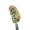 Cannabis Spot susz konopny Lemon Haze 5G Susz Lemon Haze — kwiaty konopne o intensywnie cytrynowym profilu, ujęcie z bliska