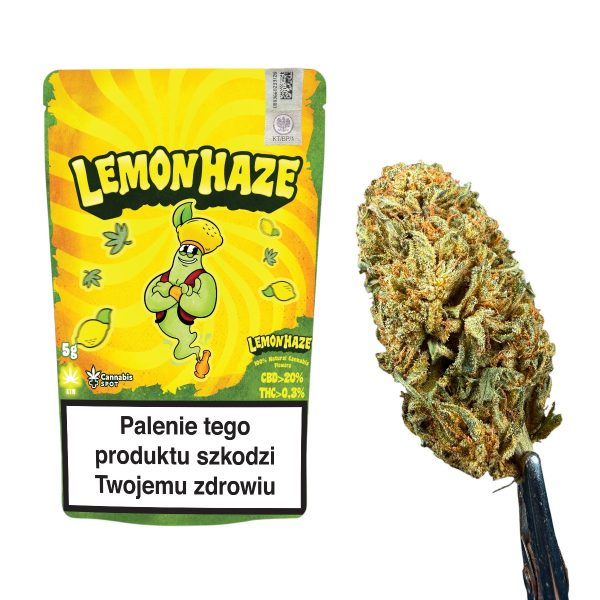 Lemon Haze Cannabis Spot 5g - Sammlerstück in einer Packung