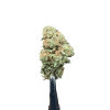 Cannabis Spot Susz Therapy z kannabigerolami 5G Susz konopny Therapy — kwiaty odmiany o kwiatowo-siankowym profilu